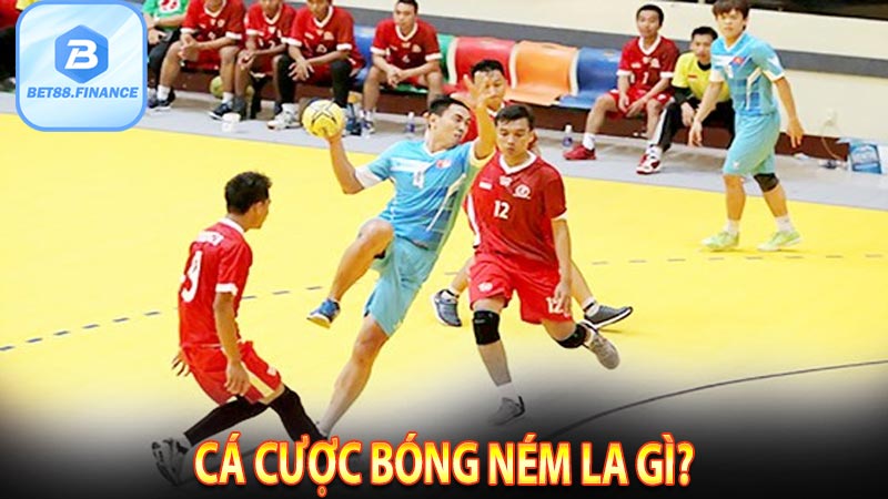 Cá cược bóng ném la gì?