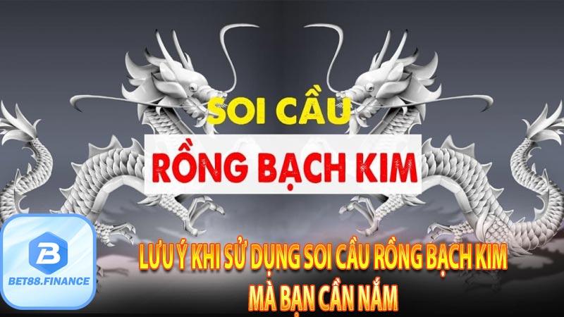 Lưu ý khi sử dụng soi cầu rồng bạch kim mà bạn cần nắm 