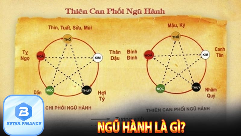 Ngũ hành là gì?