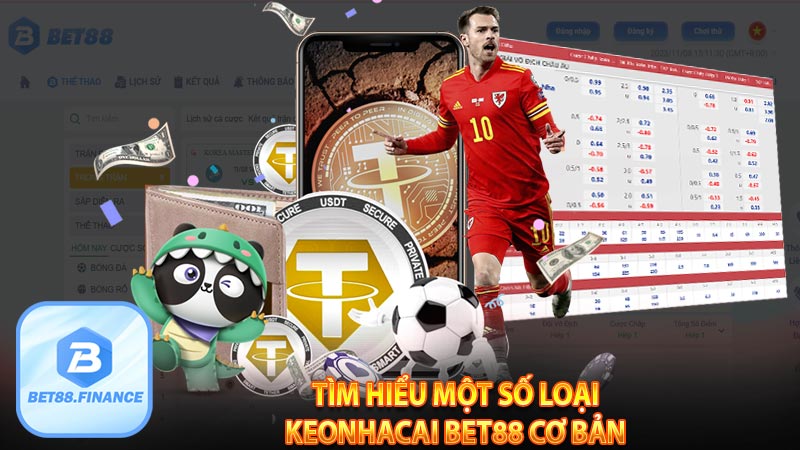 Tìm hiểu một số loại keonhacai bet88 cơ bản 