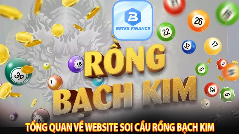 Tổng quan về website soi cầu rồng bạch kim 